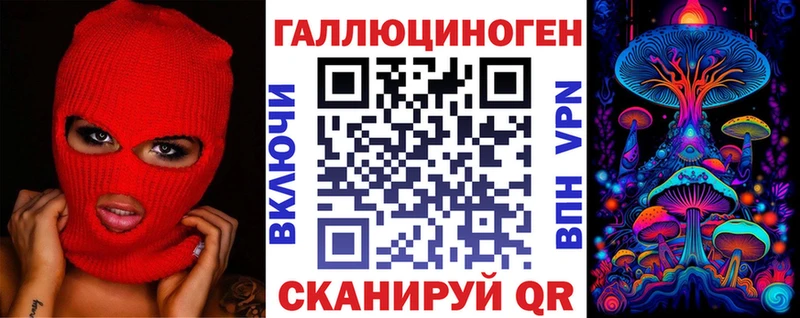 закладка Нальчик Псилоцибиновые грибы Psilocybine cubensis